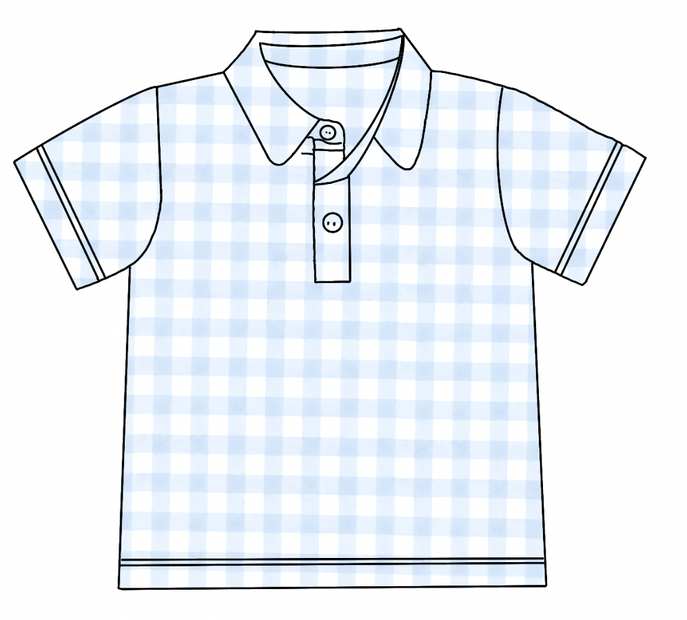 PO 3: Carolina Blue Gingham Boys Polo